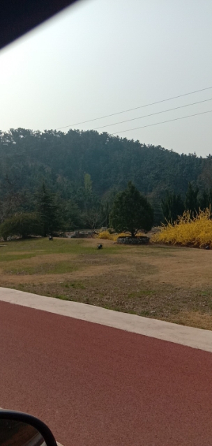 20190413_105401_1555131295901.jpg