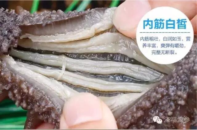 微信图片_20190413134326.jpg