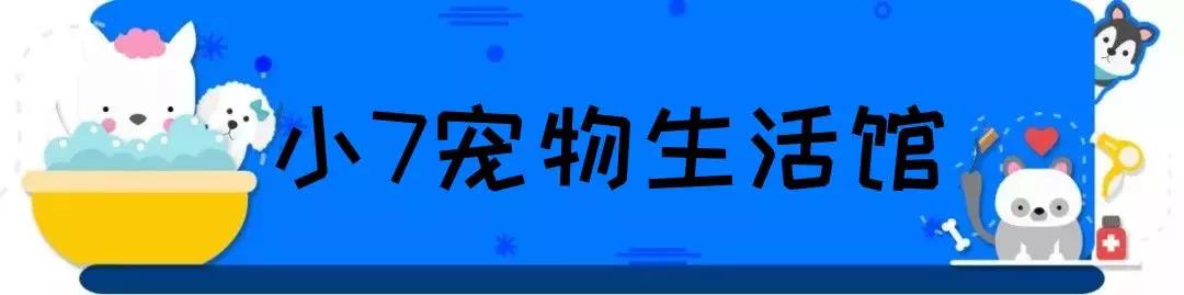 微信图片_20190413135951.jpg
