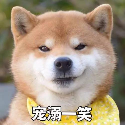 微信图片_20190413140005.jpg