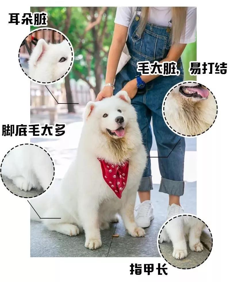 微信图片_20190413140043.jpg