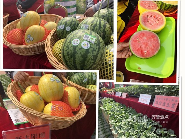 微信图片_20190413151956.jpg