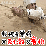 3.gif