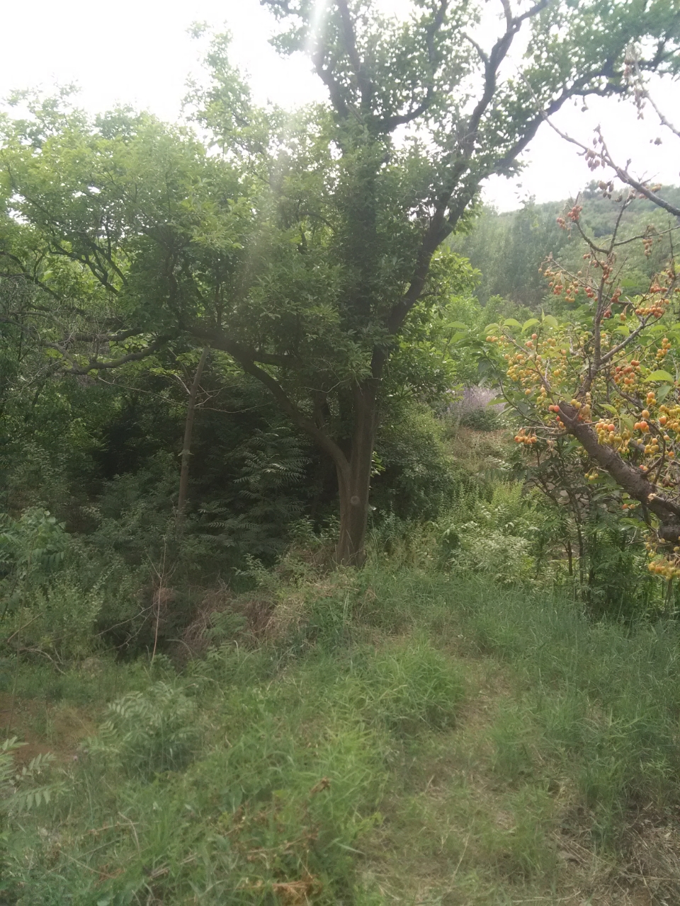 20190416_22435_1555393993375.jpg