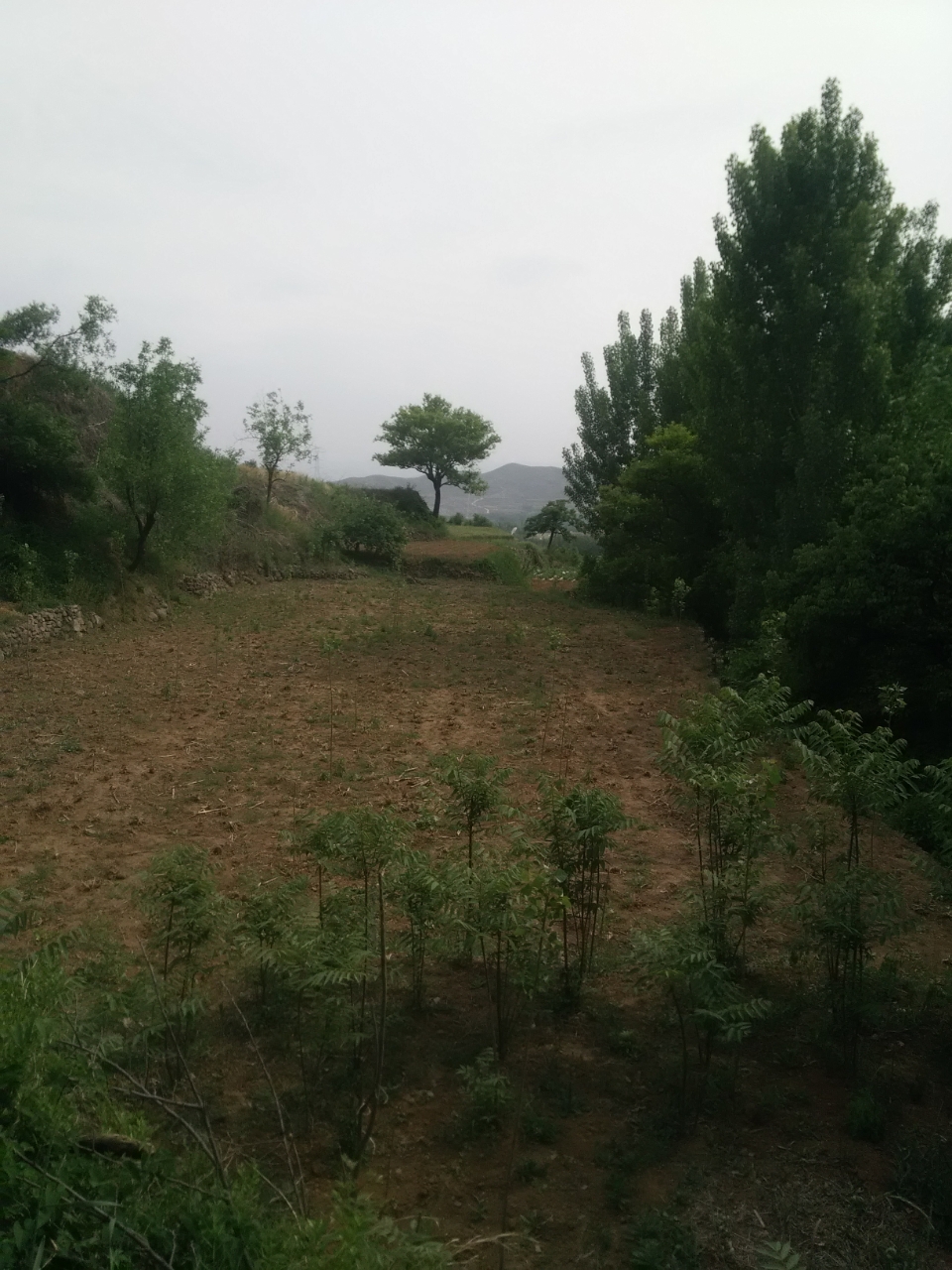 20190416_22435_1555393993686.jpg