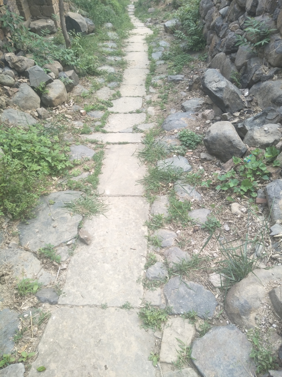 20190416_22435_1555393992449.jpg