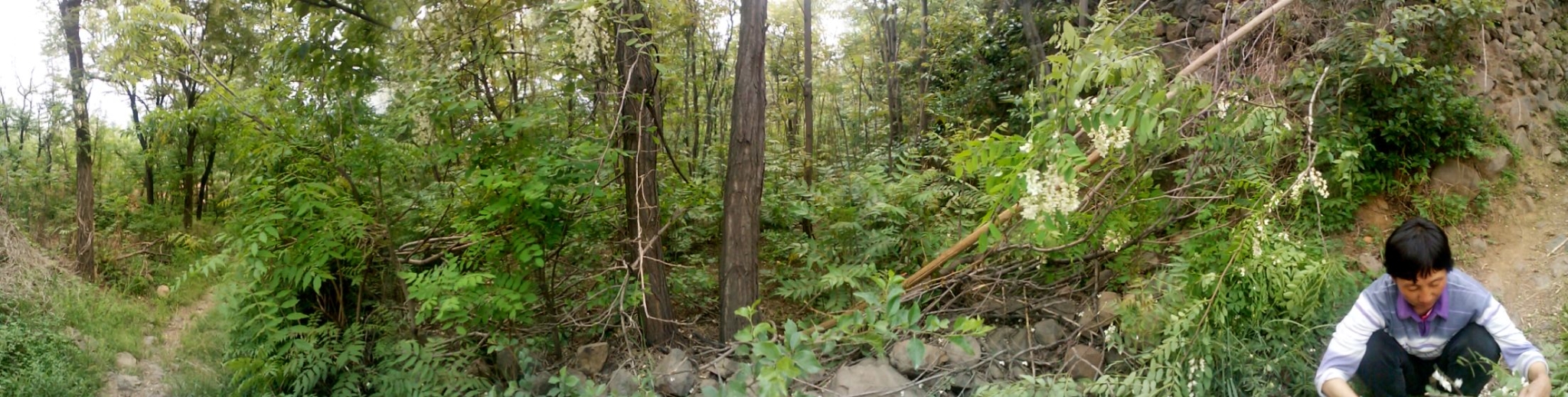 20190416_22435_1555393993956.jpg