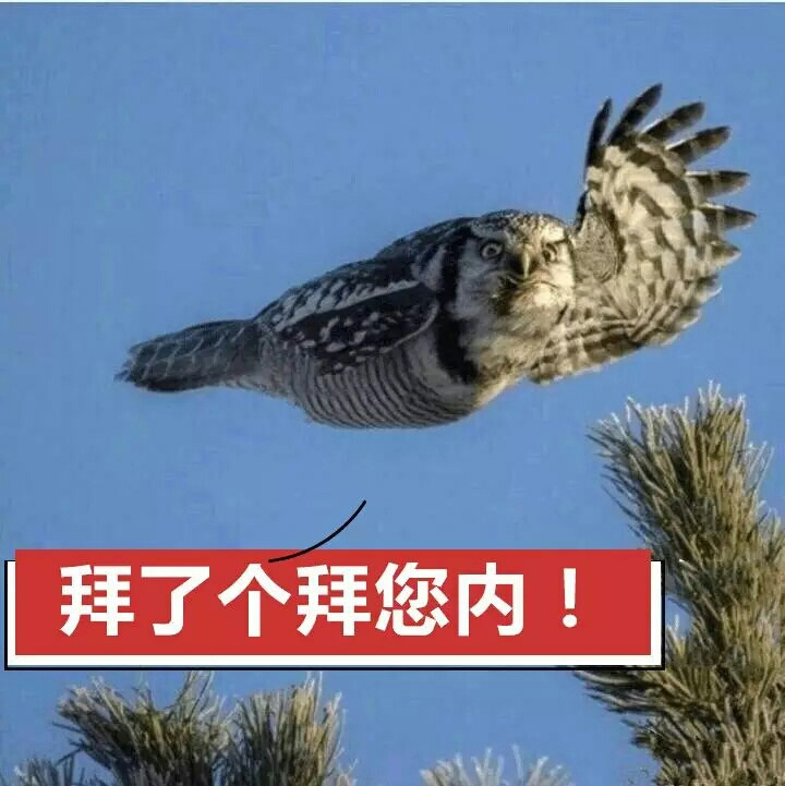 20190416_12260_1555403594421.jpg
