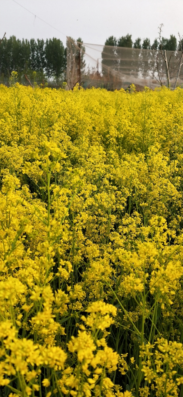20190417_8437_1555487785264.jpg