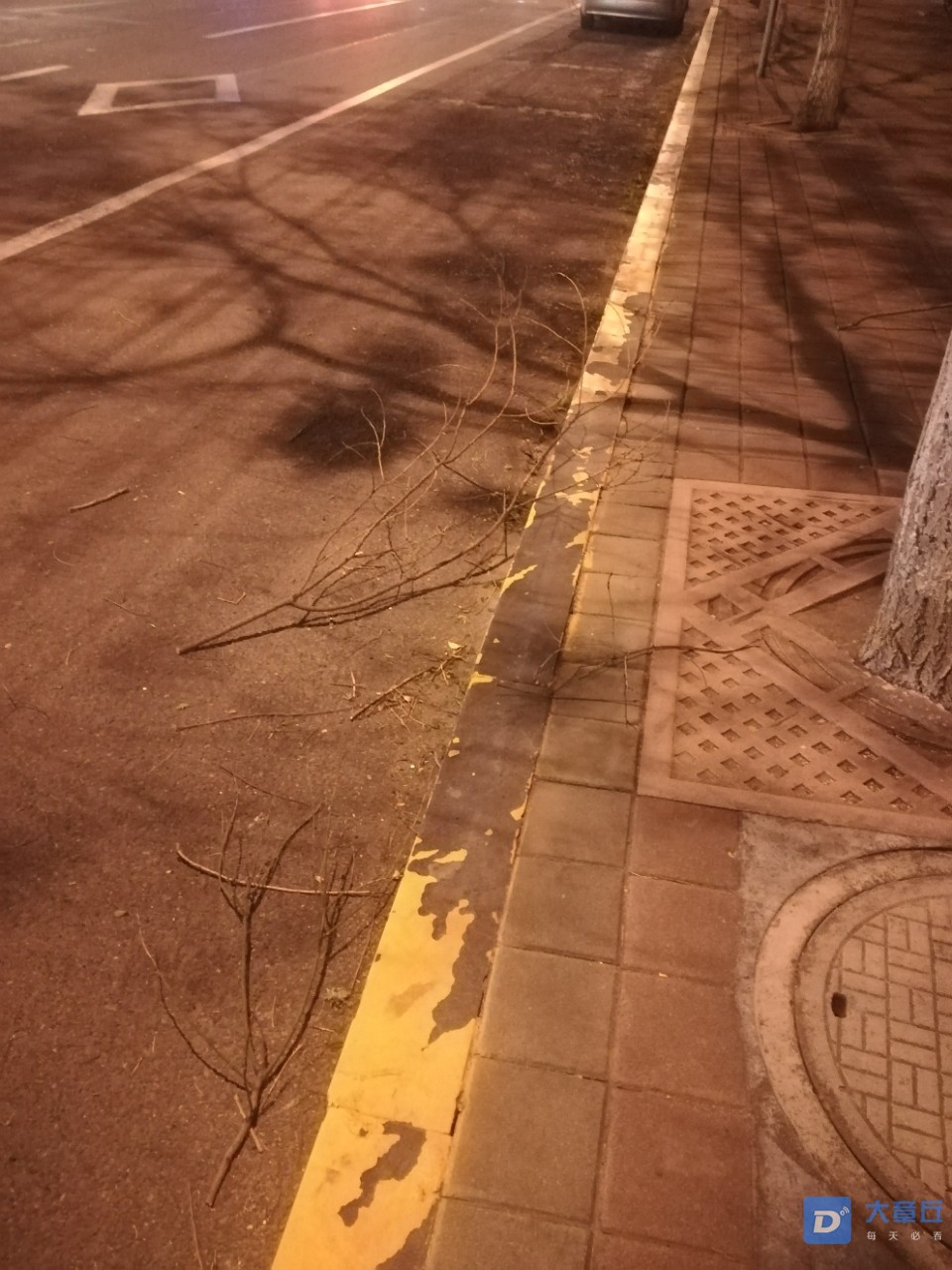 20190417_103302_1555507906513.jpg