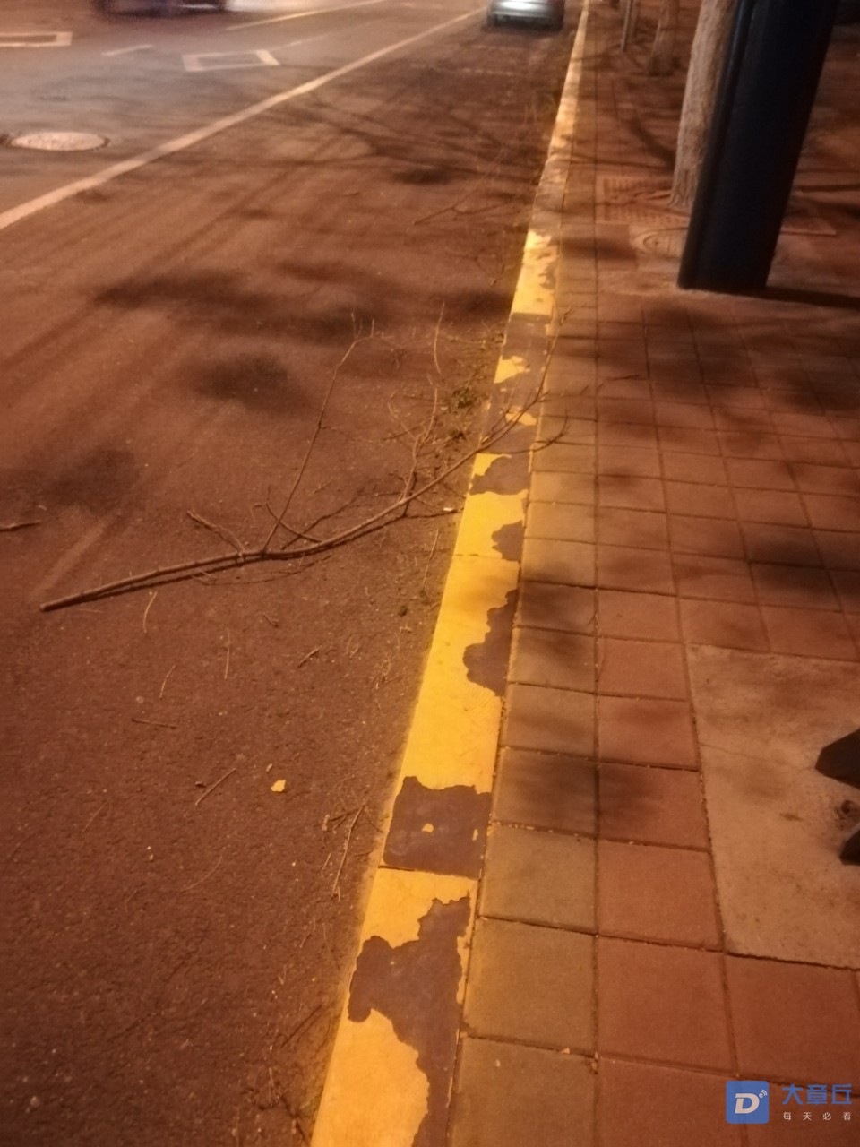 20190417_103302_1555507907302.jpg