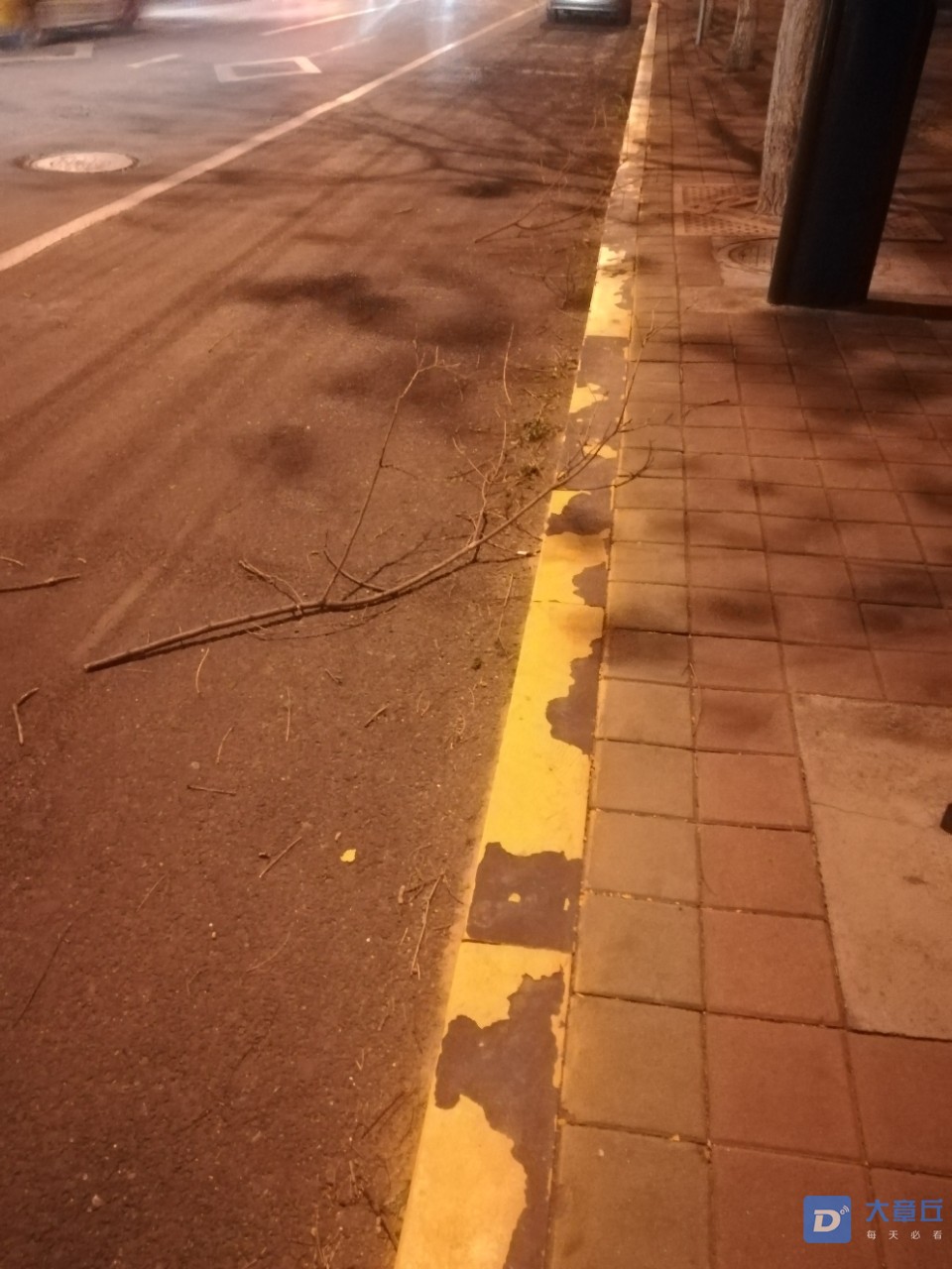 20190417_103302_1555507908045.jpg