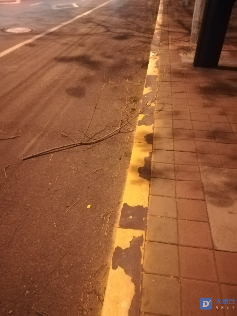 20190417_103302_1555507907669.jpg