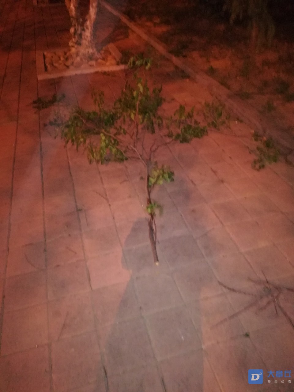 20190417_103302_1555507908423.jpg