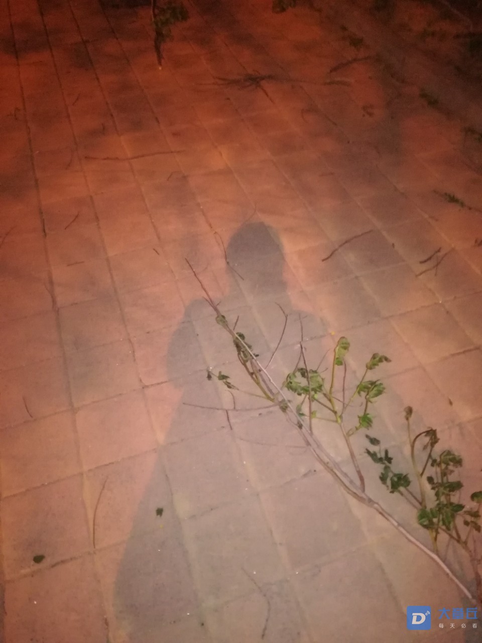 20190417_103302_1555507909276.jpg