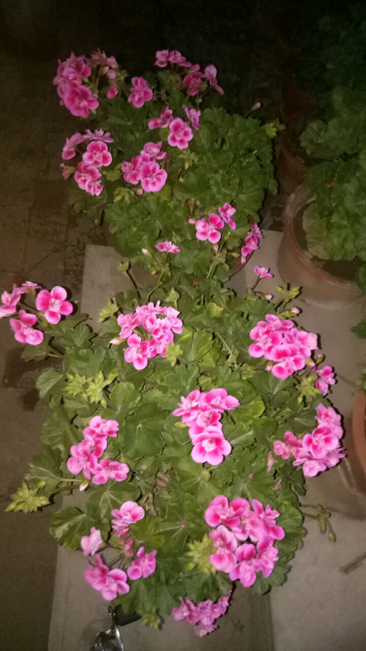 20190417_40567_1555513611901.jpg