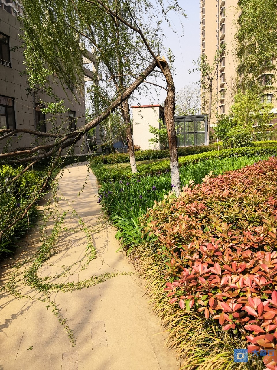 20190418_84162_1555549769901.jpg