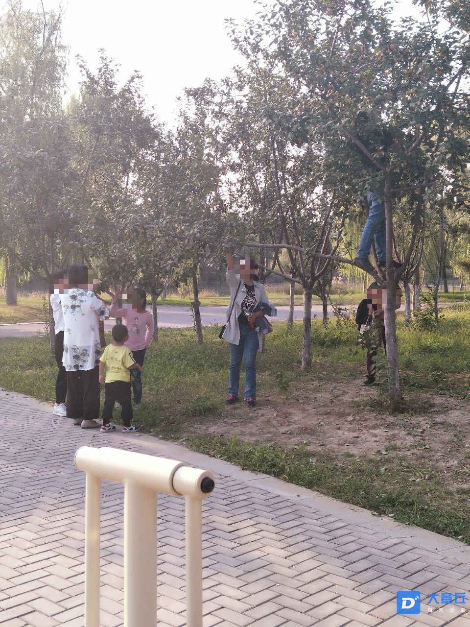 153608motvemattaa3oeo1_meitu_1.jpg