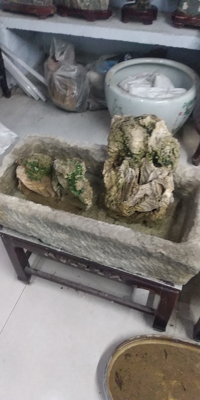 20190421_94043_1555845587759.jpg
