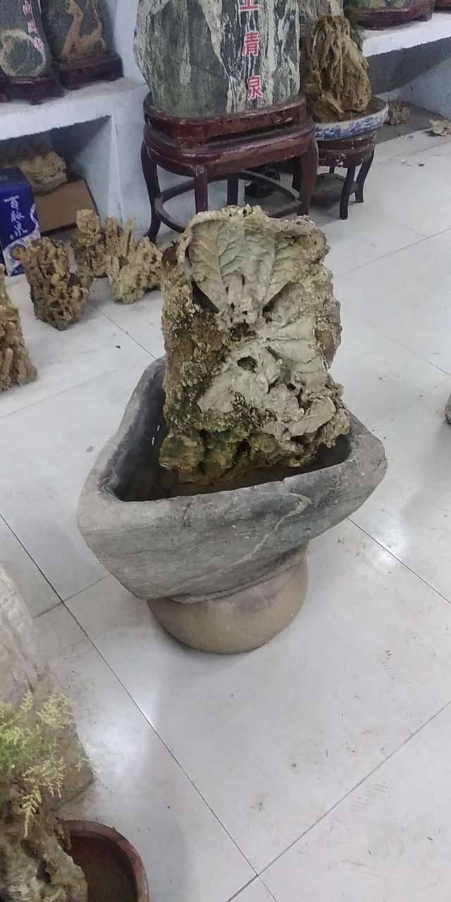 20190421_94043_1555845587933.jpg