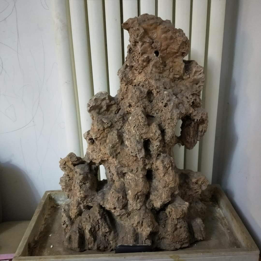 20190421_73775_1555855150473.jpg
