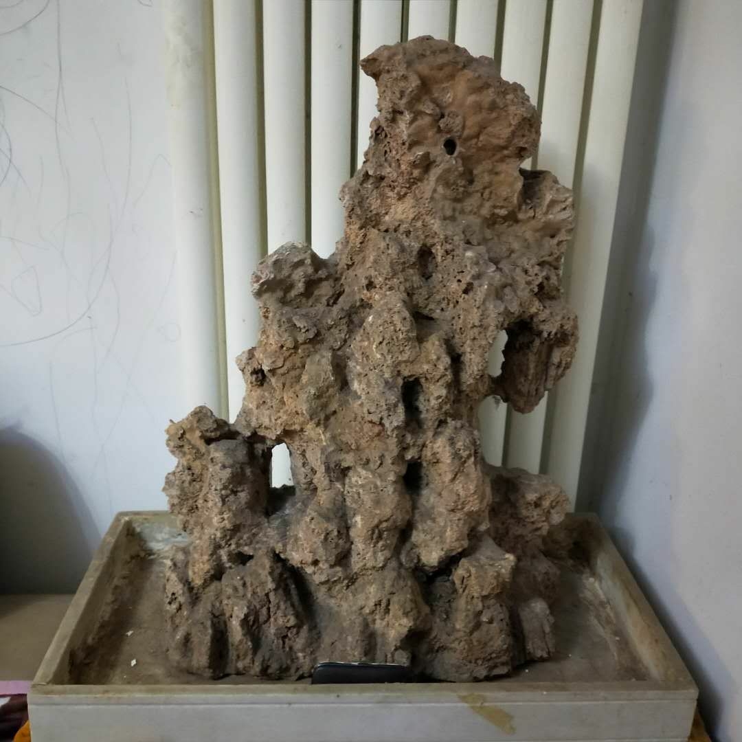20190421_73775_1555855150542.jpg