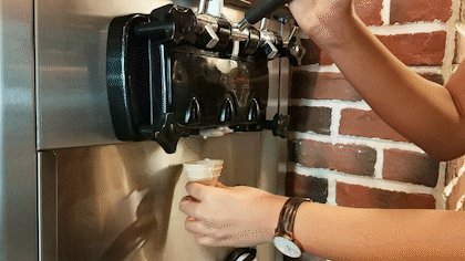 31.gif