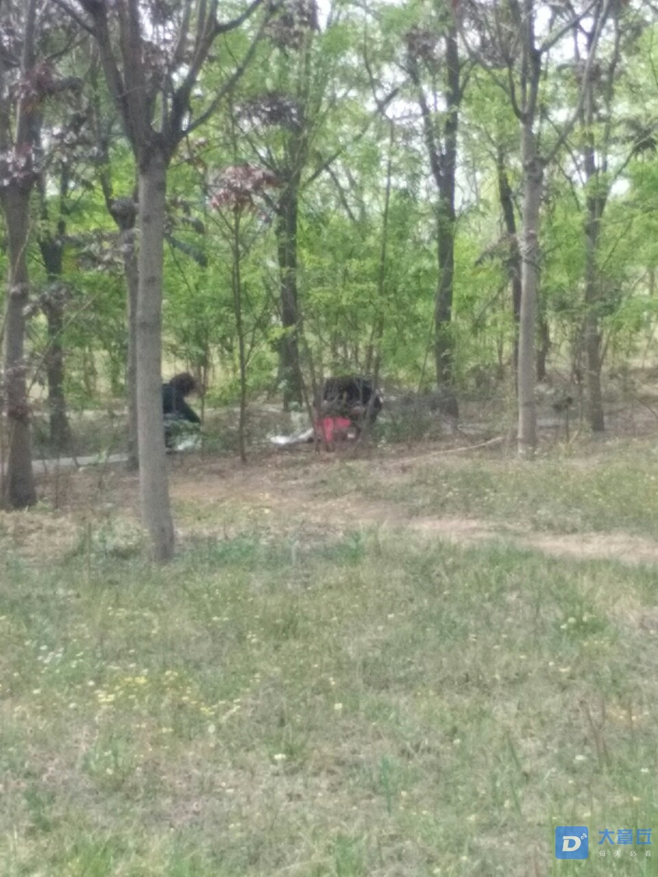 20190424_6186_1556113284683.jpg