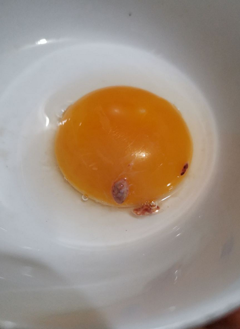 微信截图_20190425102628.png