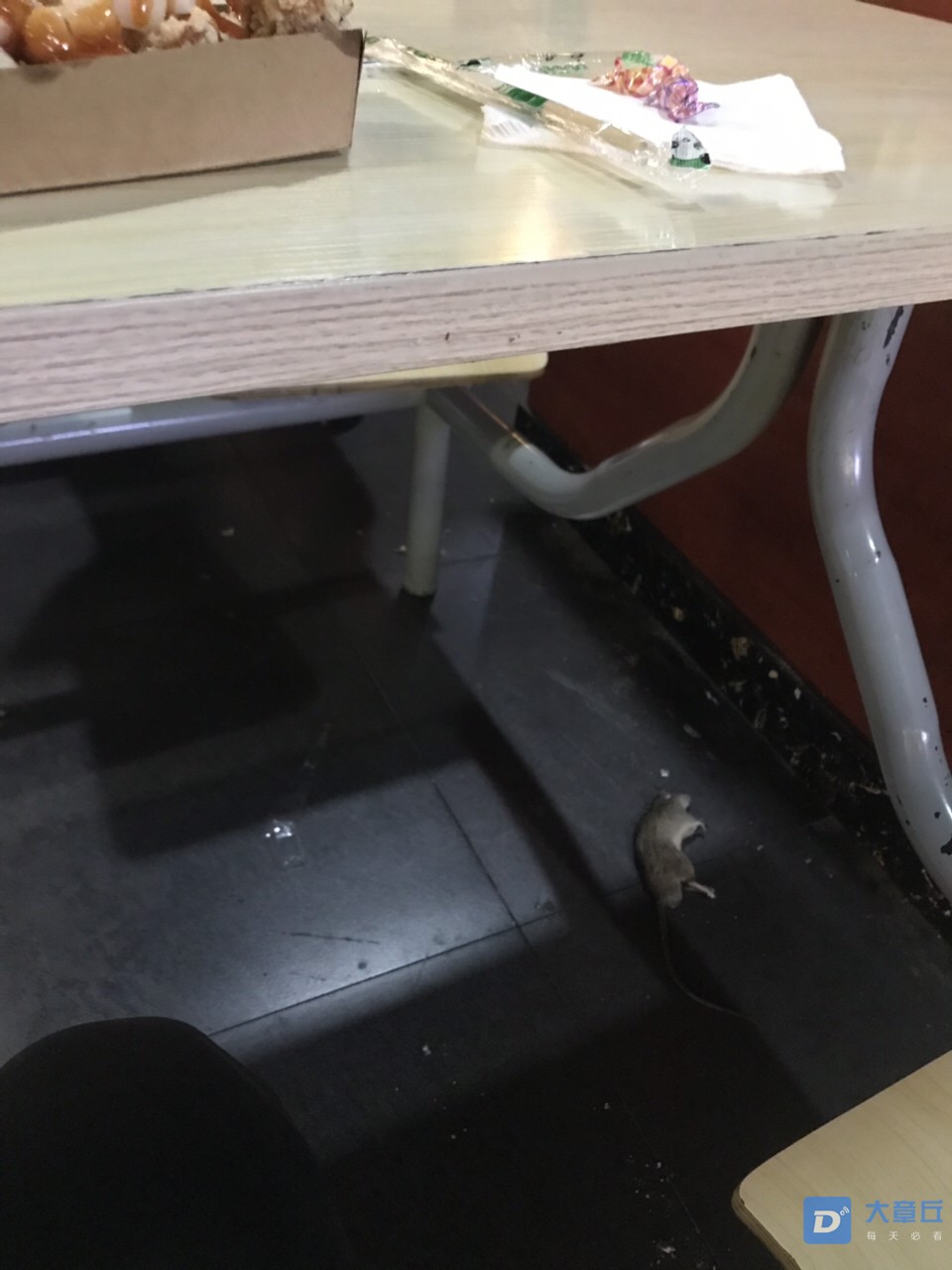 20190425217341556168389512848.jpg