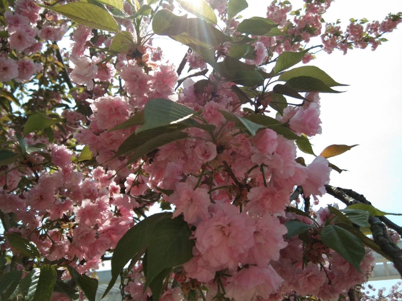 20190426_98563_1556266720263.jpg