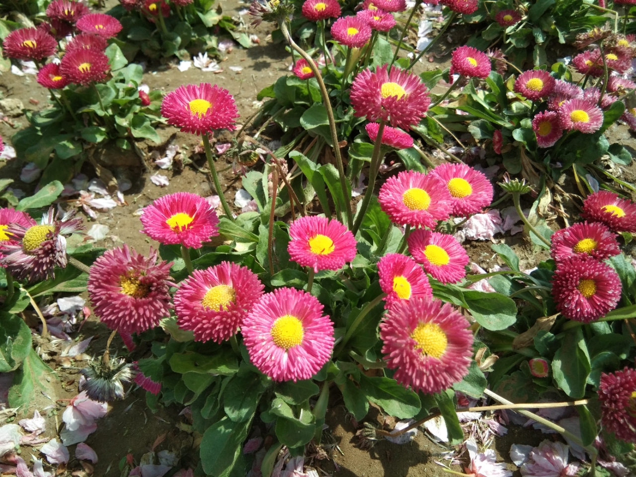 20190426_98563_1556266720754.jpg
