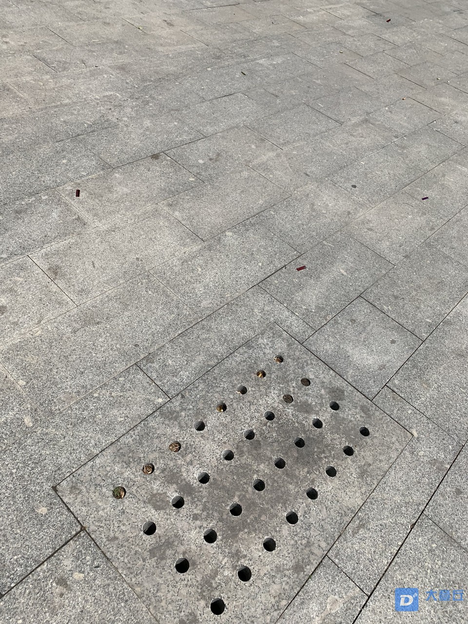 201904261063231556268095655113.jpg