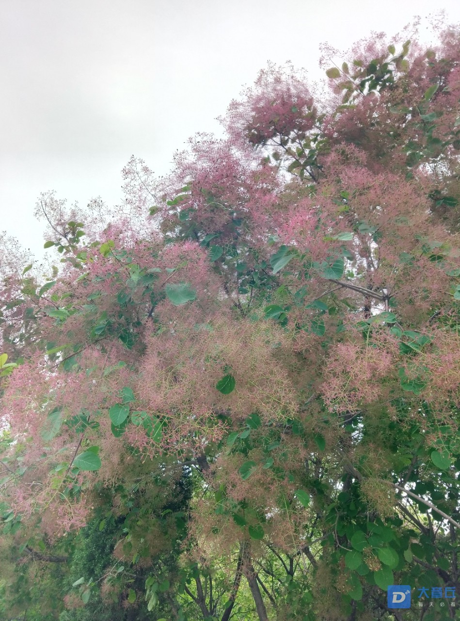 20190426_90476_1556285071280.jpg