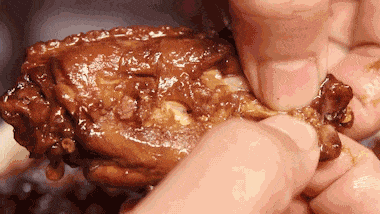 14.gif