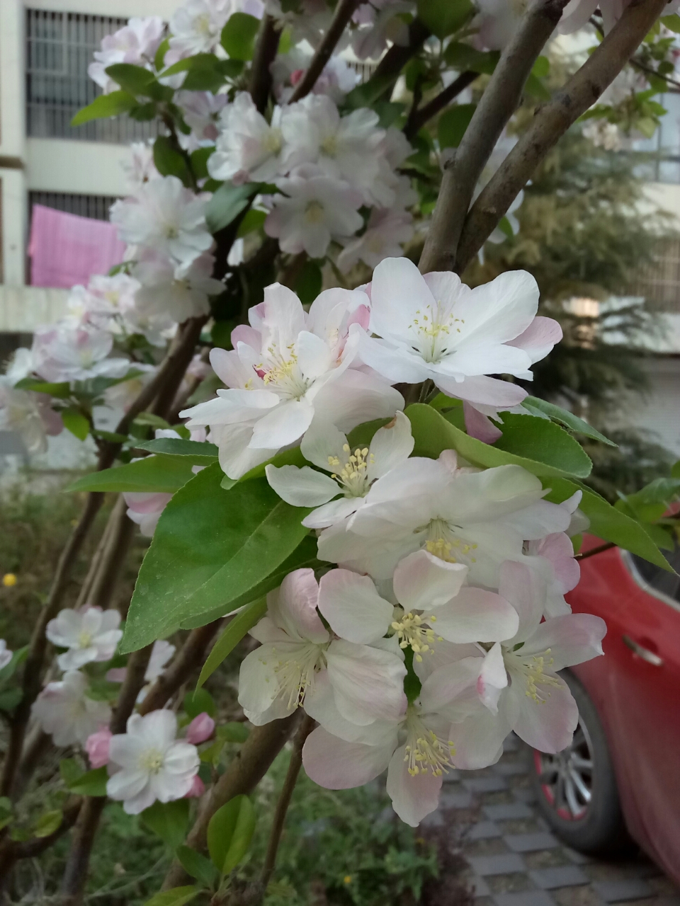 20190429_27741_1556542947291.jpg
