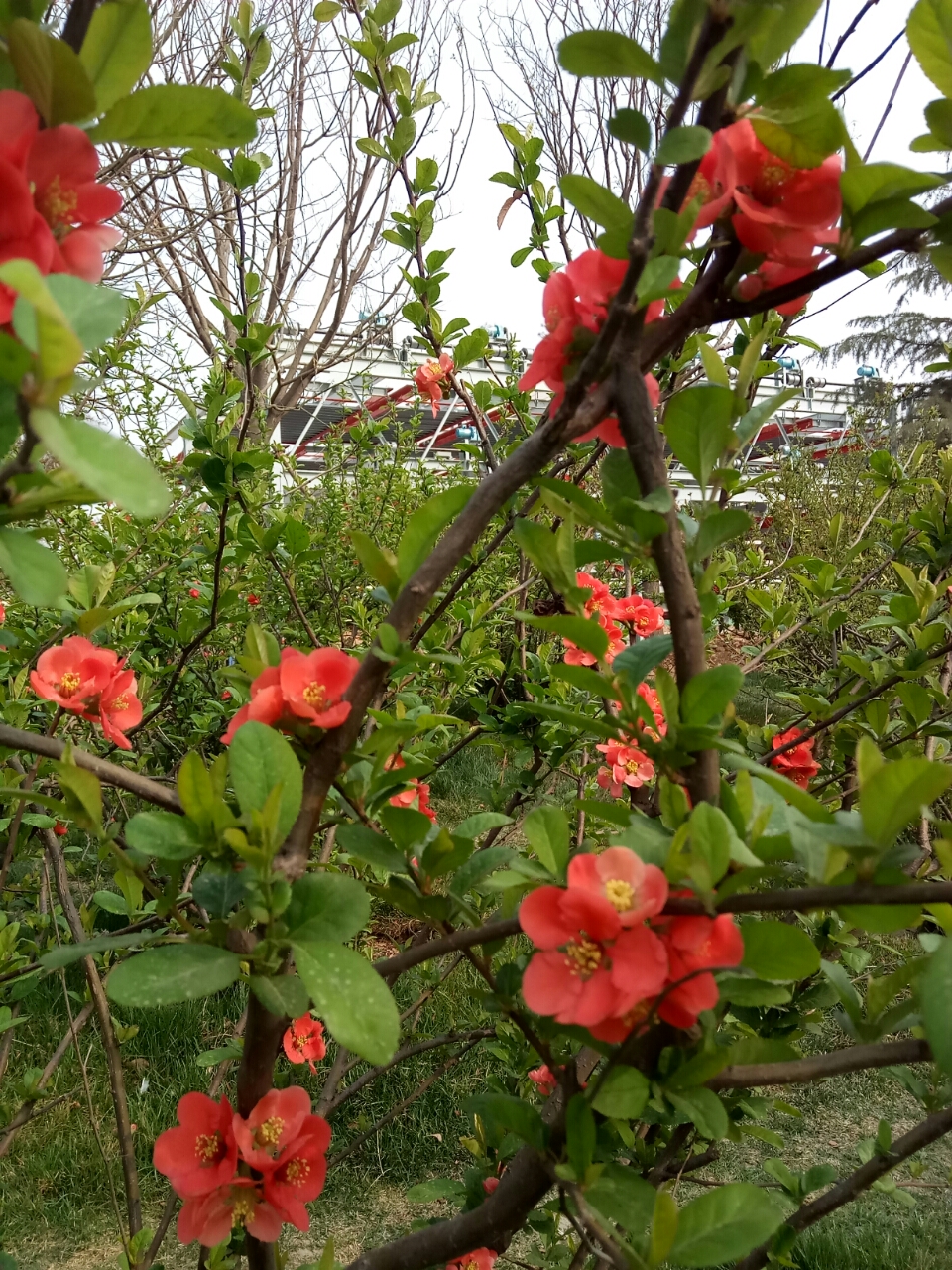 20190429_27741_1556542948189.jpg