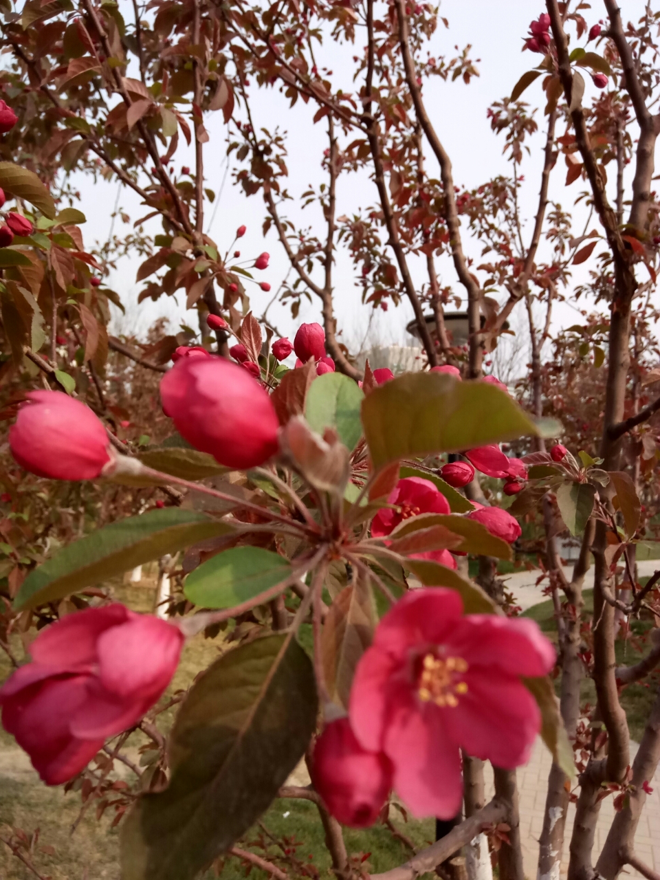 20190429_27741_1556542948668.jpg