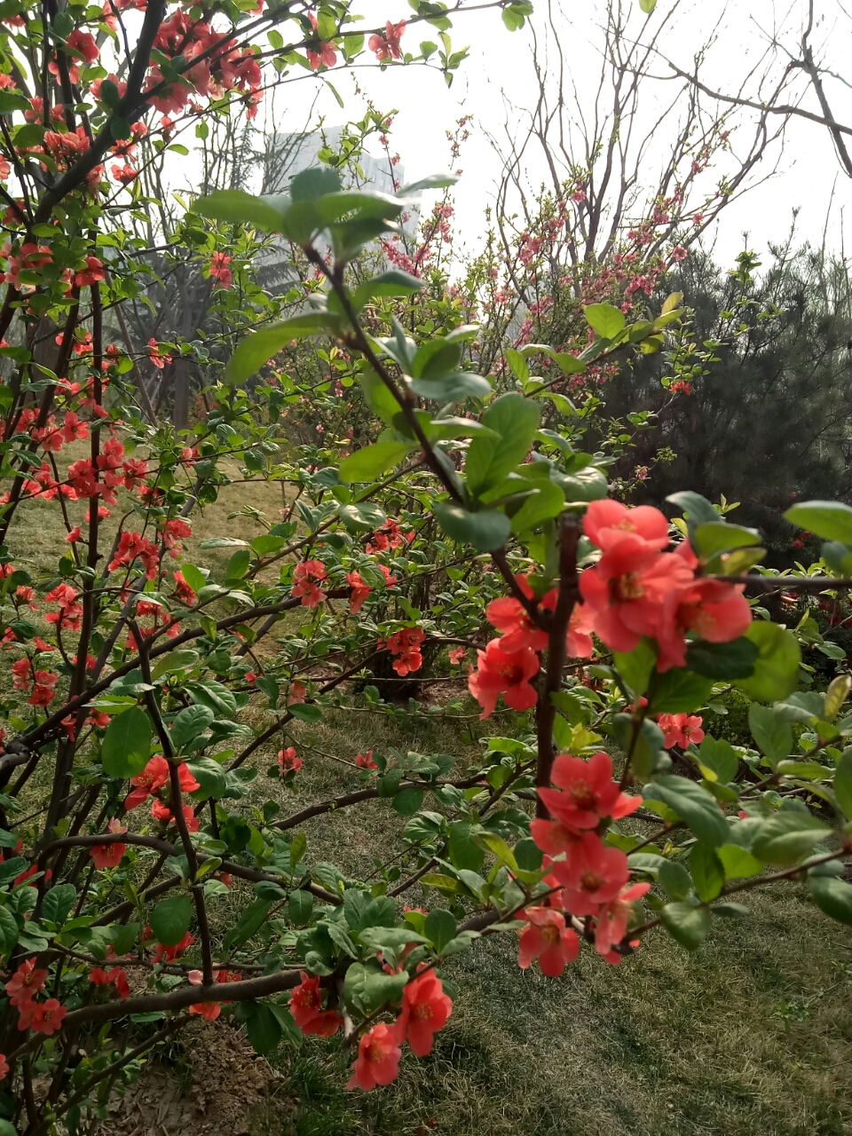 20190429_27741_1556542950148.jpg