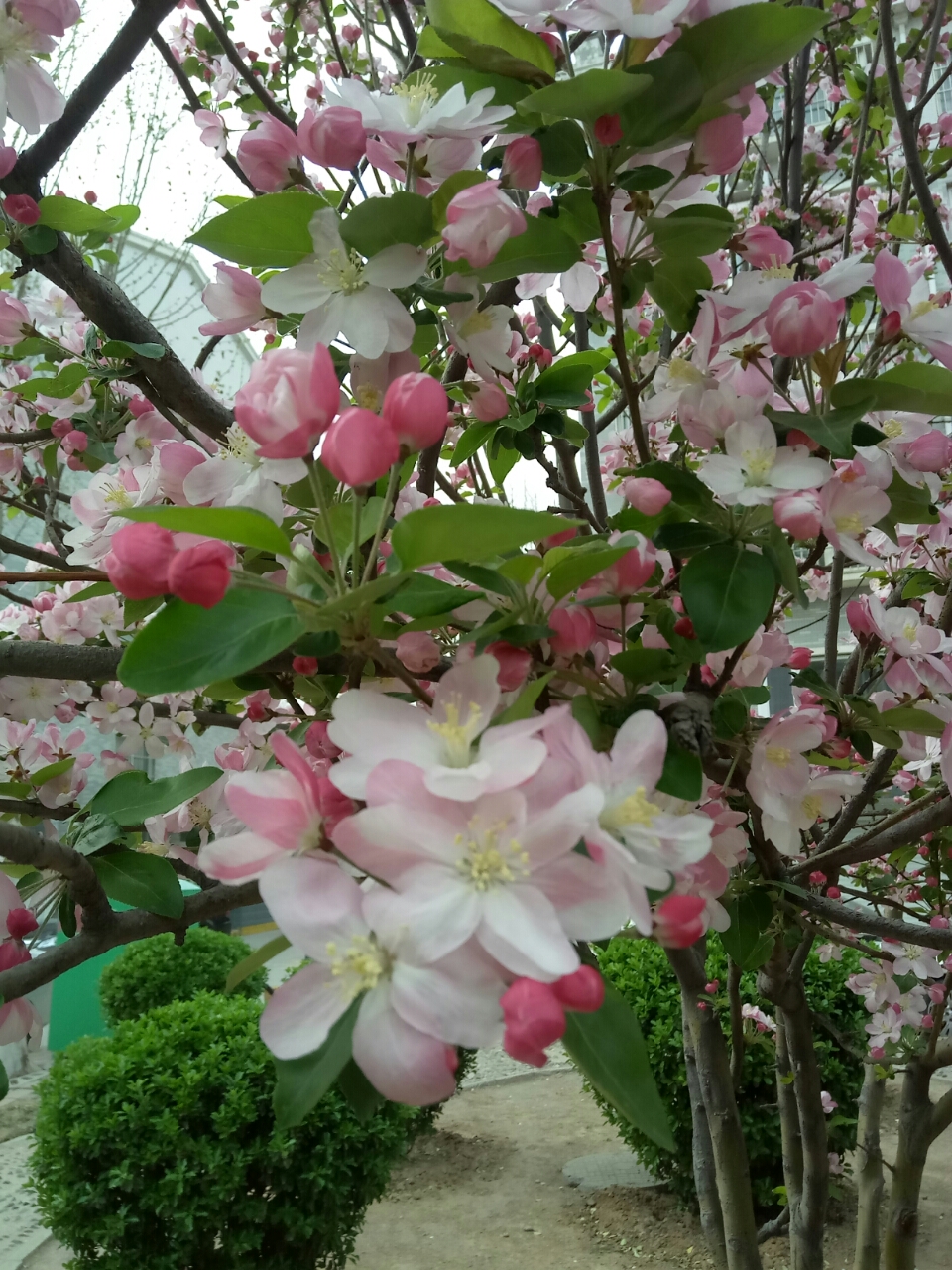 20190429_27741_1556542951185.jpg