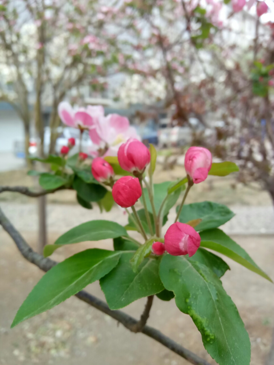 20190429_27741_1556542950743.jpg