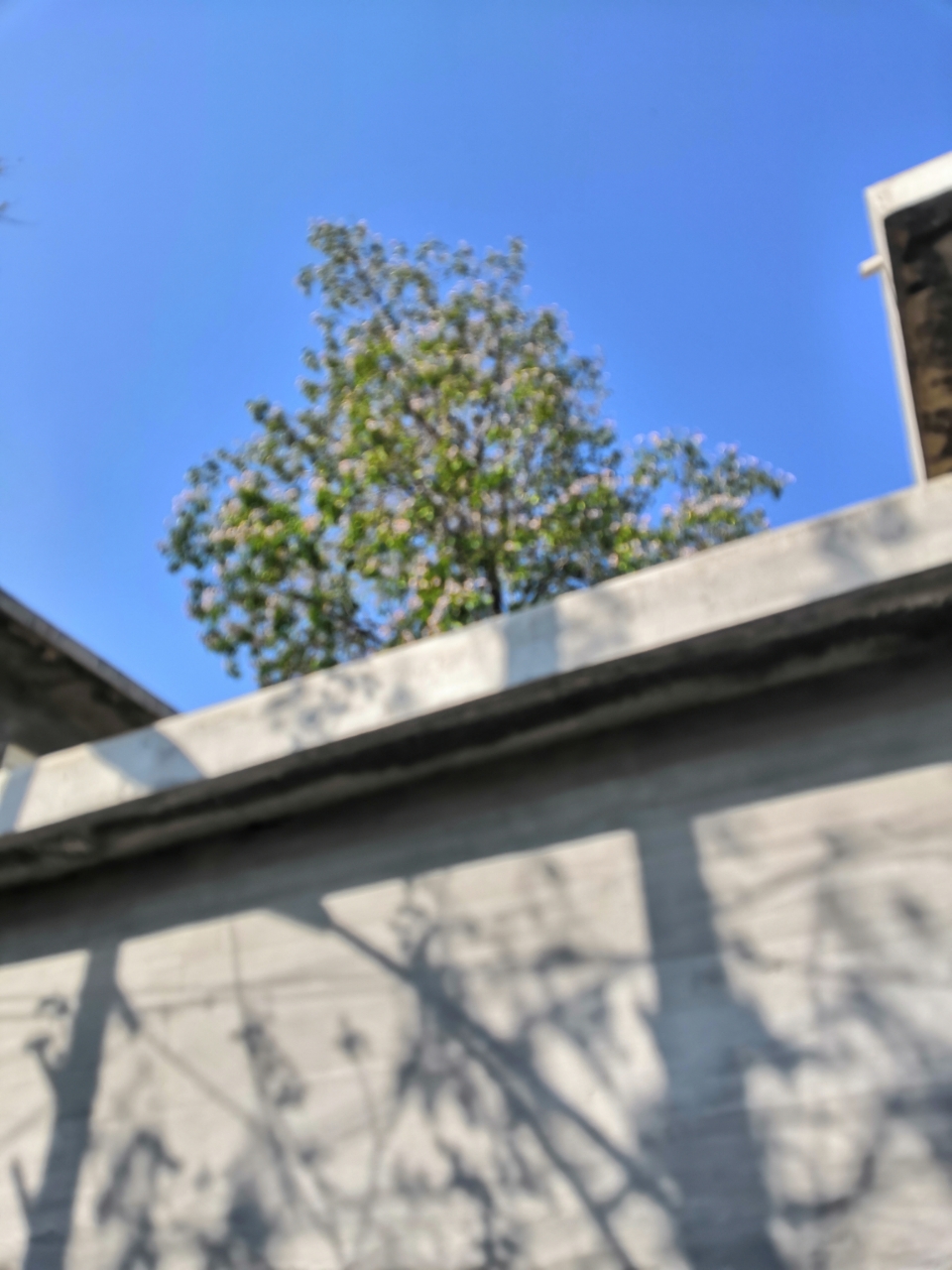 20190502_92949_1556801365361.jpg