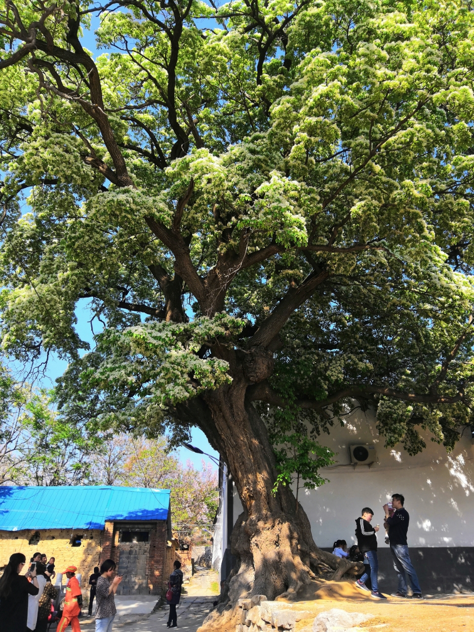 20190502_92949_1556801364473.jpg
