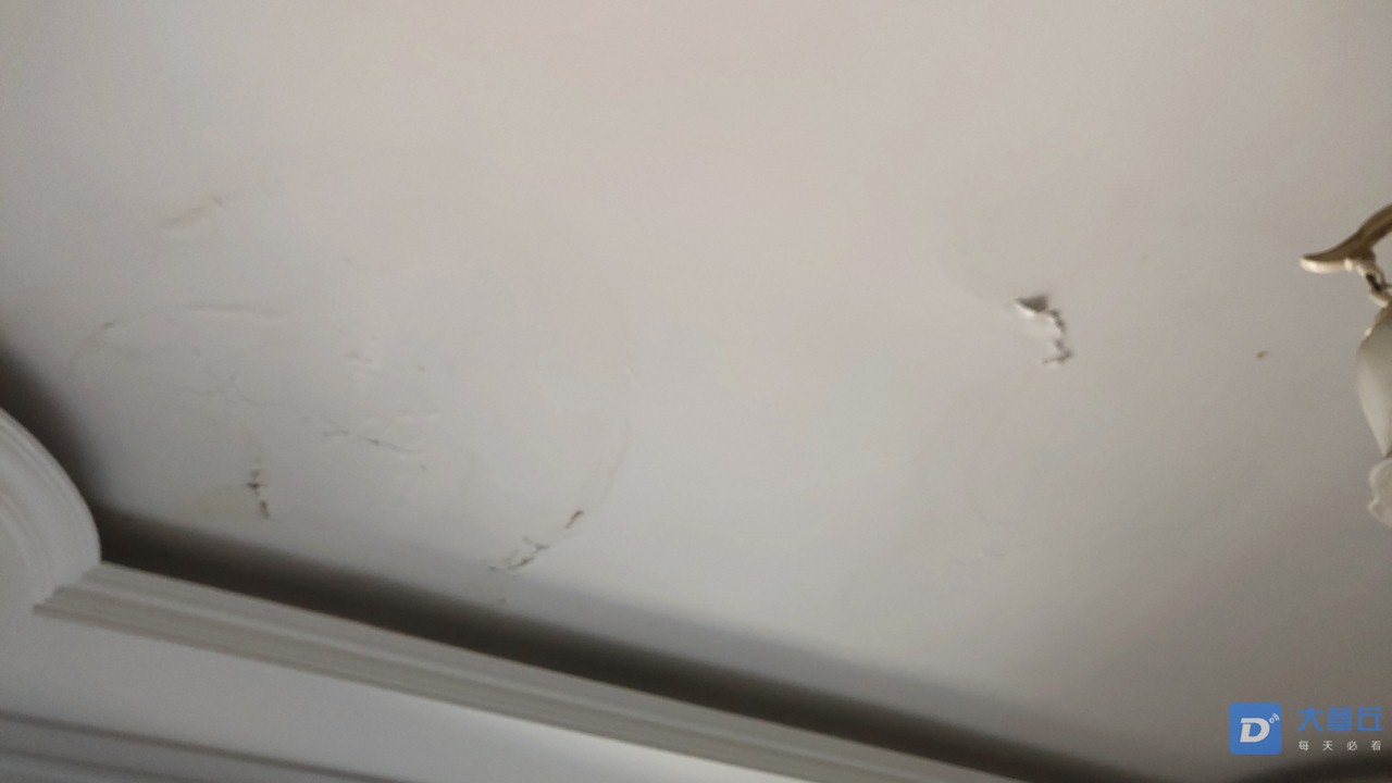20190503_104063_1556845243960.jpg