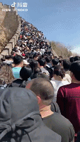 微信图片_20190504112008.gif