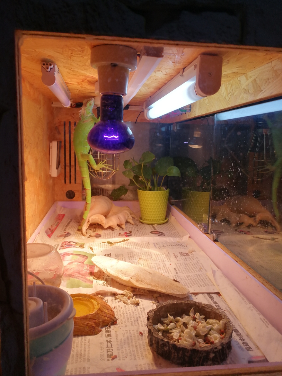 20190505_4906_1557060191168.jpg