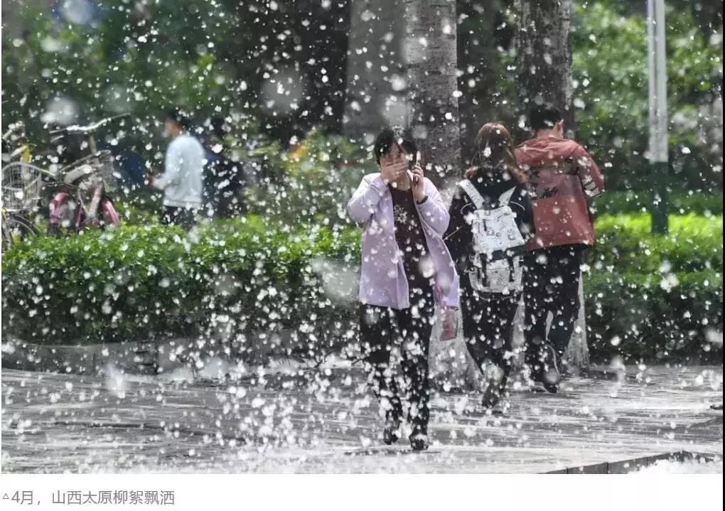微信图片_20190507175730.jpg
