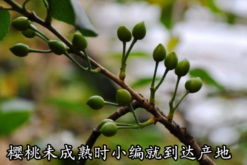 153131h336hnxk433rh47x.jpg