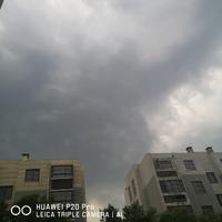 20190512_100974_1557650593333.jpg
