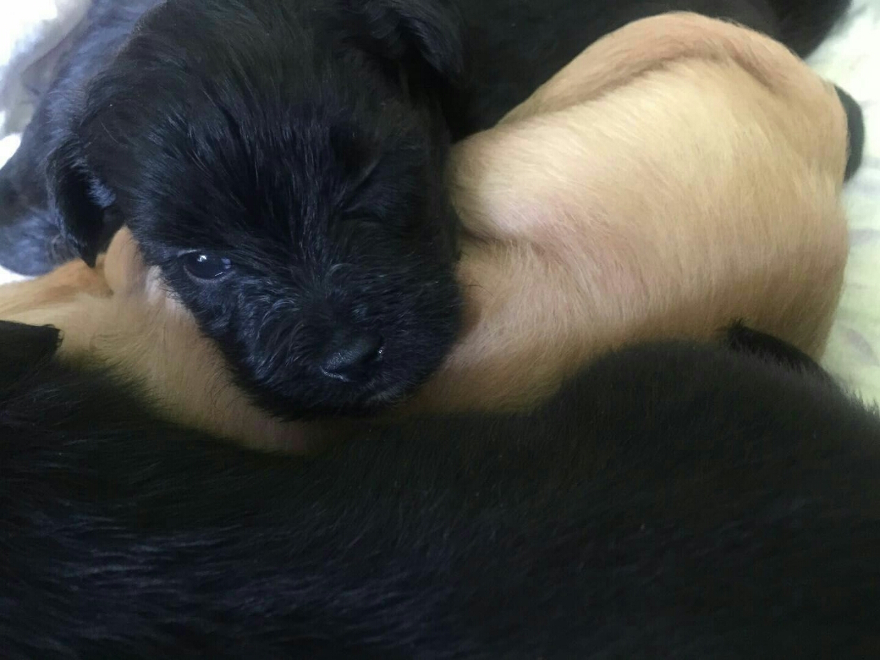 20190513_13231_1557750432695.jpg